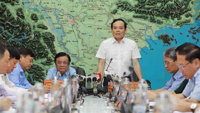 Unas 30 mil personas en Vietnam serán evacuadas debido a tormenta Talim ảnh 1 Unas 30 mil personas en Vietnam serán evacuadas debido a tormenta Talim ảnh 1