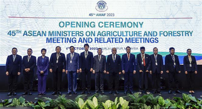 Vietnam desempeña papel activo en cooperación agrícola de ASEAN ảnh 1 Vietnam desempeña papel activo en cooperación agrícola de ASEAN ảnh 1