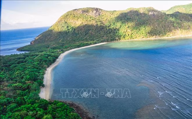 Buscan convertir a isla de Con Dao en zona ecoturística de clase internacional ảnh 1