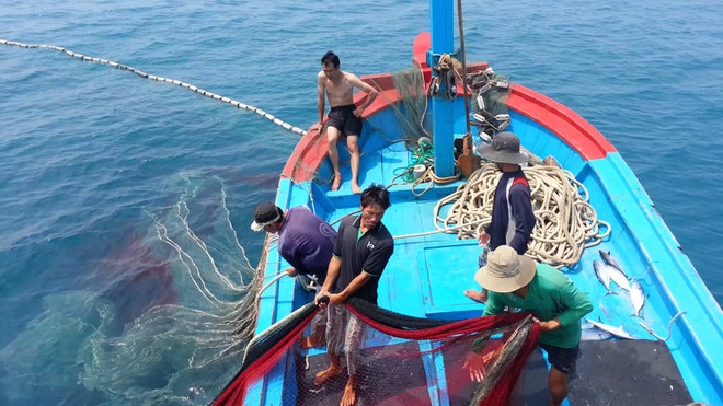 Vietnam refuerza soluciones contra la pesca ilegal ảnh 2