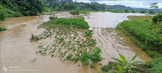 Al menos tres muertos por fuertes lluvias e inundaciones en Vietnam ảnh 1