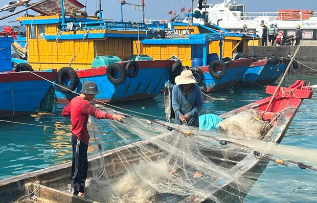 Vietnam supera deficiencias para levantamiento de "tarjeta amarilla" ảnh 1 Vietnam supera deficiencias para levantamiento de "tarjeta amarilla" ảnh 1
