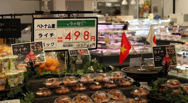 Presentan a Japón productos agrícolas destacados de Vietnam ảnh 1 Presentan a Japón productos agrícolas destacados de Vietnam ảnh 1