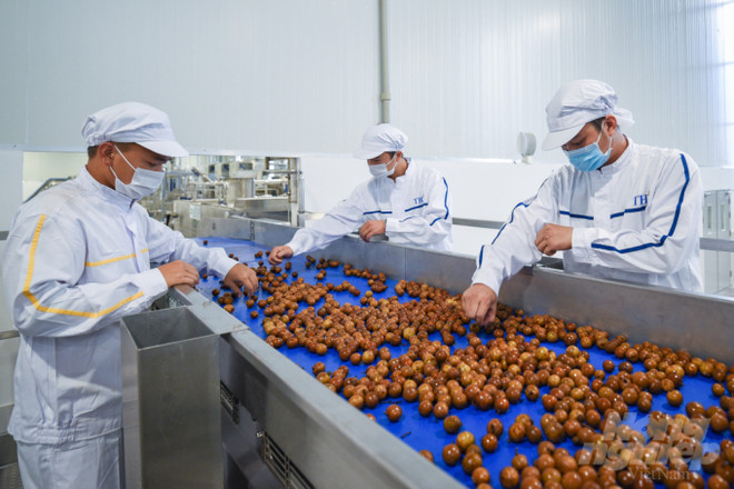 Provincia vietnamita de Tien Giang invita inversiones en plantas de procesamiento hortofructícola ảnh 1 Provincia vietnamita de Tien Giang invita inversiones en plantas de procesamiento hortofructícola ảnh 1