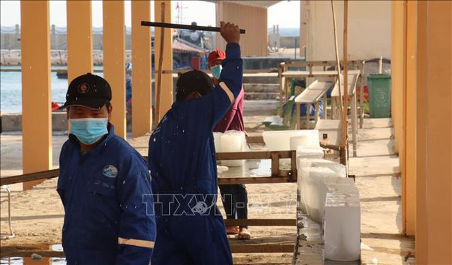 Servicios logísticos pesqueros en archipiélago vietnamita de Truong Sa ảnh 2 Servicios logísticos pesqueros en archipiélago vietnamita de Truong Sa ảnh 2