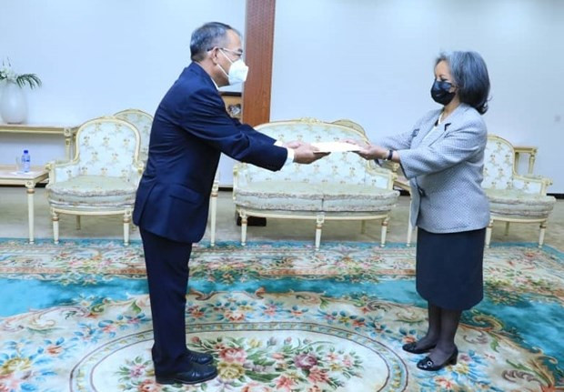 Vietnam y Etiopía acuerdan promover relaciones bilaterales ảnh 1 Vietnam y Etiopía acuerdan promover relaciones bilaterales ảnh 1