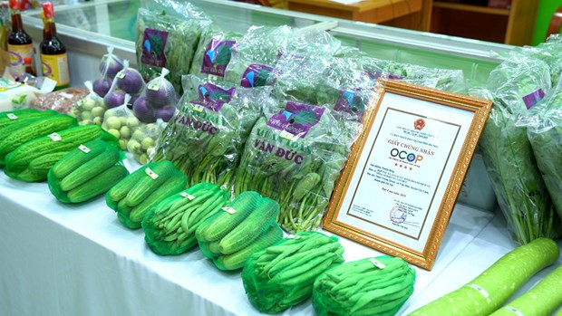 Hanoi albergará transmisión en vivo para promover los productos OCOP ảnh 1 Hanoi albergará transmisión en vivo para promover los productos OCOP ảnh 1