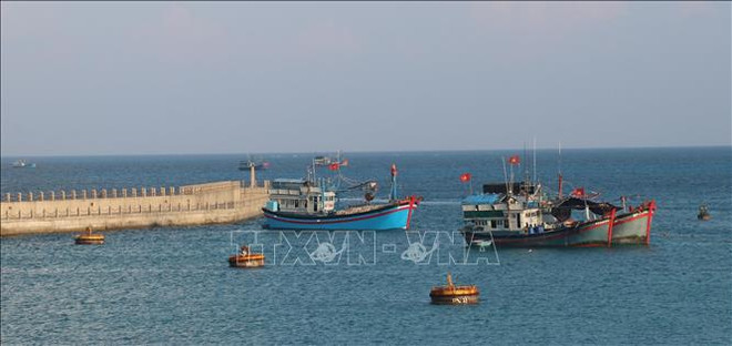Servicios logísticos pesqueros en archipiélago vietnamita de Truong Sa ảnh 3 Servicios logísticos pesqueros en archipiélago vietnamita de Truong Sa ảnh 3
