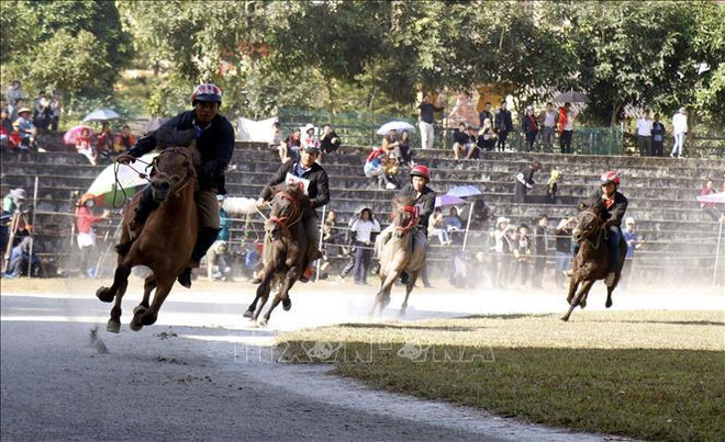 Carrera de caballos Bac Ha nombrada Patrimonio cultural intangible de Vietnam ảnh 2 Carrera de caballos Bac Ha nombrada Patrimonio cultural intangible de Vietnam ảnh 2