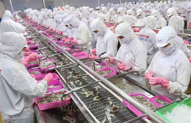 Crecen exportaciones de productos acuáticos vietnamitas entre enero y mayo ảnh 1 Crecen exportaciones de productos acuáticos vietnamitas entre enero y mayo ảnh 1