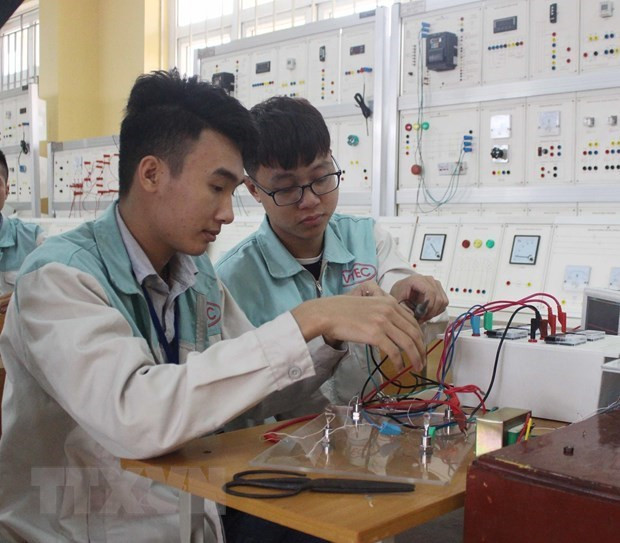 Provincia vietnamita impulsa formación profesional para empleados rurales ảnh 1 Provincia vietnamita impulsa formación profesional para empleados rurales ảnh 1