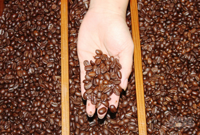 Café Khe Sanh gana Taza de Excelencia de Vietnam 2021 ảnh 1 Café Khe Sanh gana Taza de Excelencia de Vietnam 2021 ảnh 1