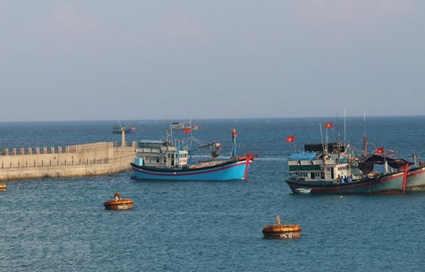 Lanzan concurso y exposición nacional de fotografía artística sobre el mar e islas de Vietnam ảnh 1 Lanzan concurso y exposición nacional de fotografía artística sobre el mar e islas de Vietnam ảnh 1