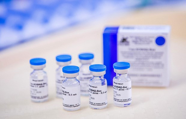 Vietnam comprará 20 millones de dosis de vacuna Sputnik V este año ảnh 1 Vietnam comprará 20 millones de dosis de vacuna Sputnik V este año ảnh 1
