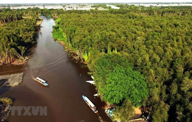 Vietnam trabaja por conservar los ecosistemas del Delta del río Mekong ảnh 1