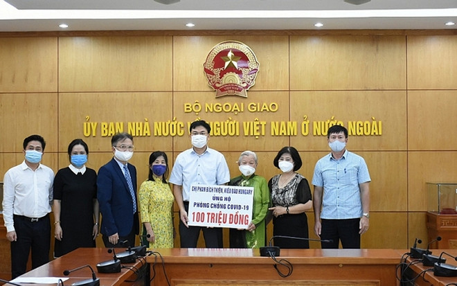 Vietnamita en Hungría contribuye al combate contra COVID-19 en su país natal ảnh 1