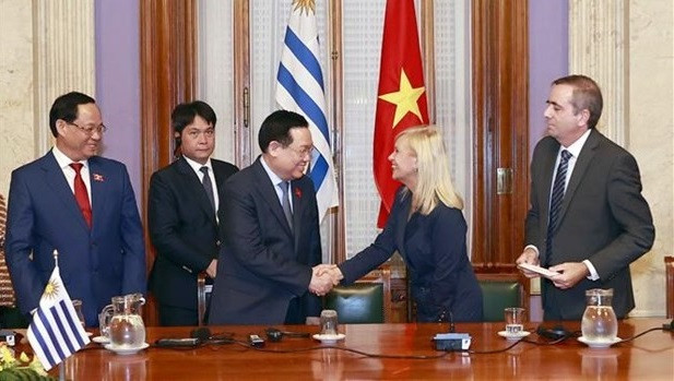 Relaciones tradicionales entre Vietnam y Uruguay alcanzan logros destacados ảnh 2 Relaciones tradicionales entre Vietnam y Uruguay alcanzan logros destacados ảnh 2