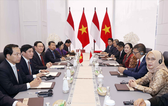 Resaltan significado de visita del titular del Parlamento vietnamita a Indonesia e Irán ảnh 2 Resaltan significado de visita del titular del Parlamento vietnamita a Indonesia e Irán ảnh 2