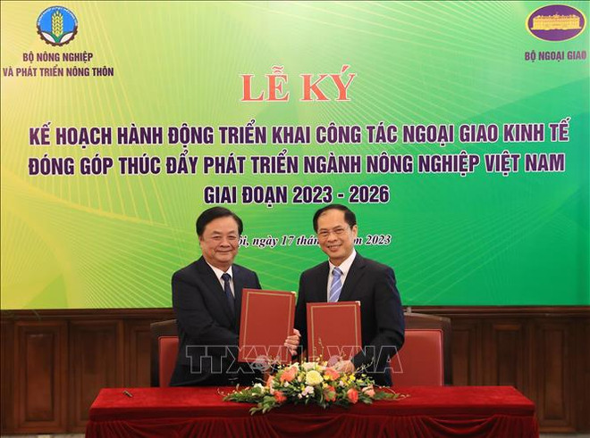 Diplomacia económica brinda productos agrícolas vietnamitas al mundo ảnh 2 Diplomacia económica brinda productos agrícolas vietnamitas al mundo ảnh 2