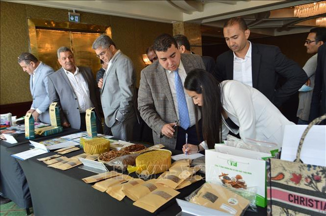 Comercio entre Vietnam y Egipto experimenta un panorama prometedor ảnh 1