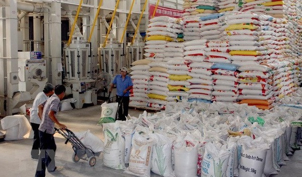 Vietnam busca garantizar equilibrio entre exportación y consumo de arroz ảnh 1 Vietnam busca garantizar equilibrio entre exportación y consumo de arroz ảnh 1