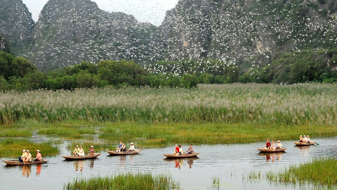 Efectúan balance de 10 años de implementación de políticas ambientales ảnh 1 Efectúan balance de 10 años de implementación de políticas ambientales ảnh 1