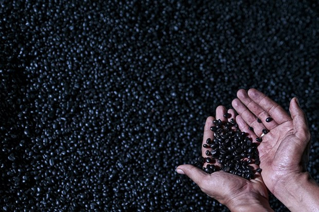 Indonesia: Pronostican menor producción de café por El Niño ảnh 1