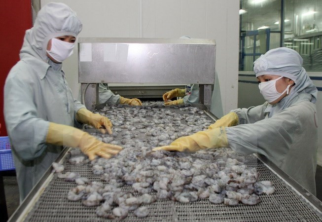 Asia será mercado emergente de consumo de camarones de Vietnam ảnh 1 Asia será mercado emergente de consumo de camarones de Vietnam ảnh 1