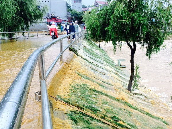 Localidad vietnamita implementa medidas contra inundaciones ảnh 1
