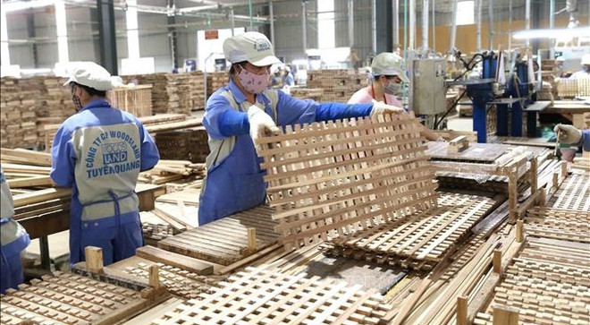 Vietnam registra superávit comercial en productos agroforestales y acuáticos ảnh 1 Vietnam registra superávit comercial en productos agroforestales y acuáticos ảnh 1