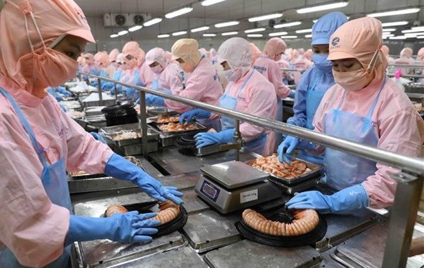 Vietnam y Alemania disponen de potencial de cooperación ảnh 1 Vietnam y Alemania disponen de potencial de cooperación ảnh 1