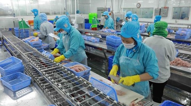 Expertos australianos aprecian perspectivas económicas de Vietnam ảnh 2 Expertos australianos aprecian perspectivas económicas de Vietnam ảnh 2