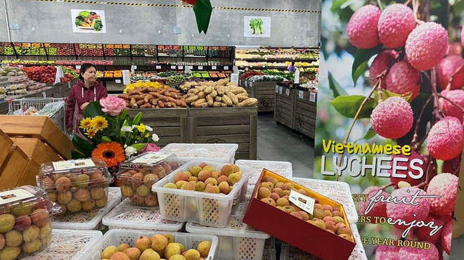 Trasiego mercantil entre Vietnam y Australia logra resultado alentador en ocho meses ảnh 1 Trasiego mercantil entre Vietnam y Australia logra resultado alentador en ocho meses ảnh 1