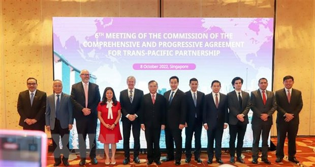 Vietnam asiste a la reunión de Comisión de CPTPP en Singapur ảnh 1 Vietnam asiste a la reunión de Comisión de CPTPP en Singapur ảnh 1