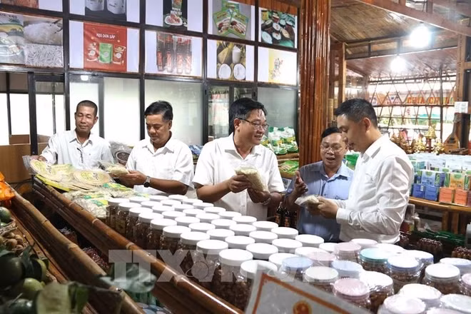 Tra Vinh determinada a obtener de 40 a 50 productos de OCOP cada año ảnh 1