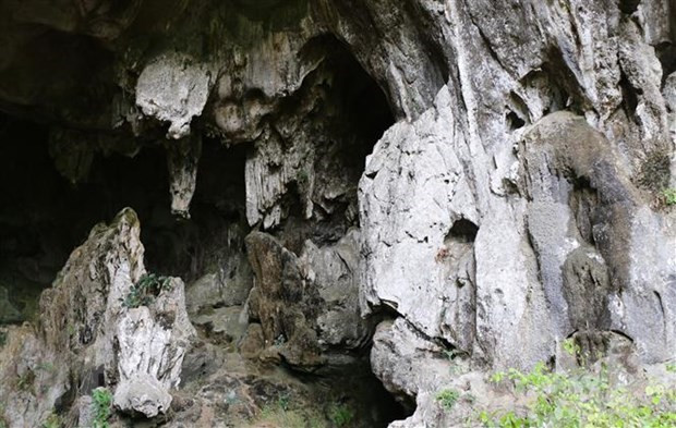 Pagoda de Hang Uc: valiosa reliquia de provincia vietnamita ảnh 1 Pagoda de Hang Uc: valiosa reliquia de provincia vietnamita ảnh 1