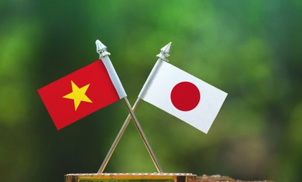 Vietnam y Japón impulsan cooperación en medicina tradicional ảnh 1 Vietnam y Japón impulsan cooperación en medicina tradicional ảnh 1