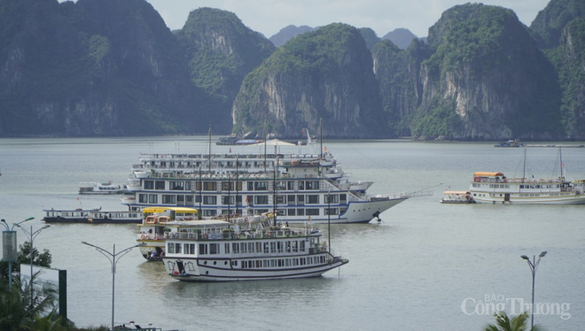 Celebrarán en Vietnam Asamblea General del Foro Interregional de Asia Oriental de Turismo ảnh 1 Celebrarán en Vietnam Asamblea General del Foro Interregional de Asia Oriental de Turismo ảnh 1