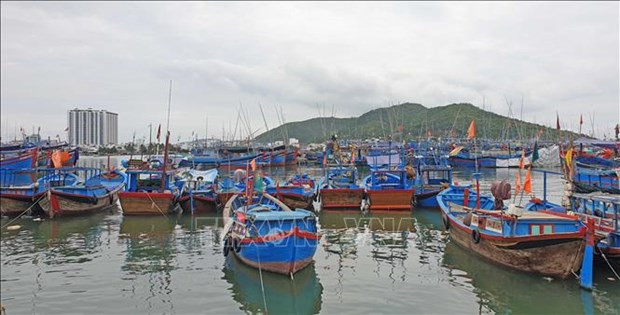 Vietnam acelera los movimientos para combatir la pesca ilegal ảnh 1 Vietnam acelera los movimientos para combatir la pesca ilegal ảnh 1