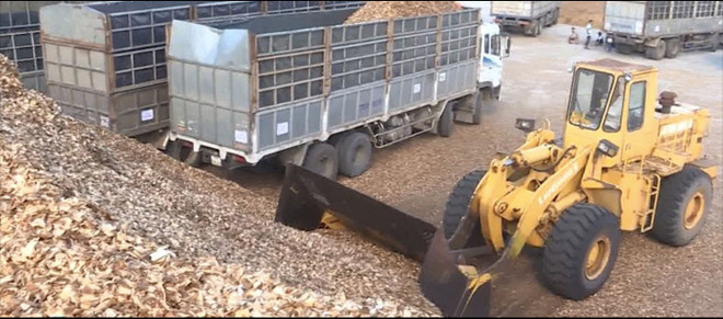 Exportaciones vietnamitas de productos de desecho forestal podrían recaudar fondo multimillonario ảnh 2 Exportaciones vietnamitas de productos de desecho forestal podrían recaudar fondo multimillonario ảnh 2