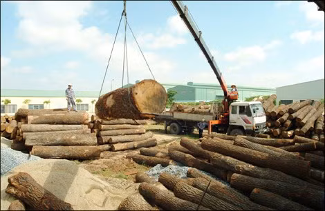 Aumentan exportaciones madereras vietnamitas a China ảnh 1 Aumentan exportaciones madereras vietnamitas a China ảnh 1