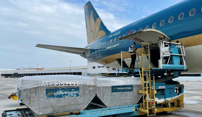 Vietnam Airlines completa distribución de vacunas contra COVID-19 en país ảnh 1 Vietnam Airlines completa distribución de vacunas contra COVID-19 en país ảnh 1