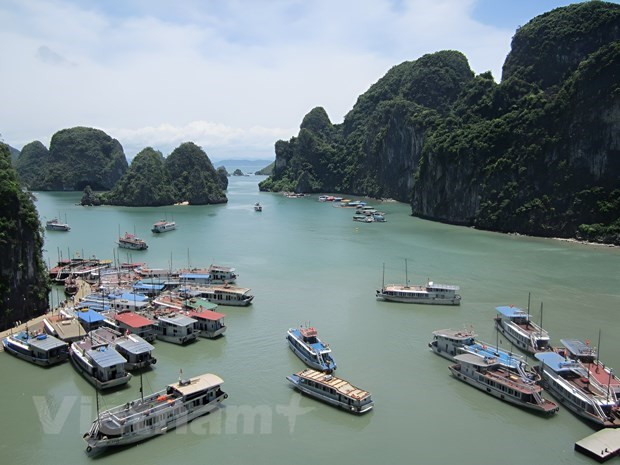 Turismo de Vietnam muestra señales de recuperación y desarrollo ảnh 2 Turismo de Vietnam muestra señales de recuperación y desarrollo ảnh 2