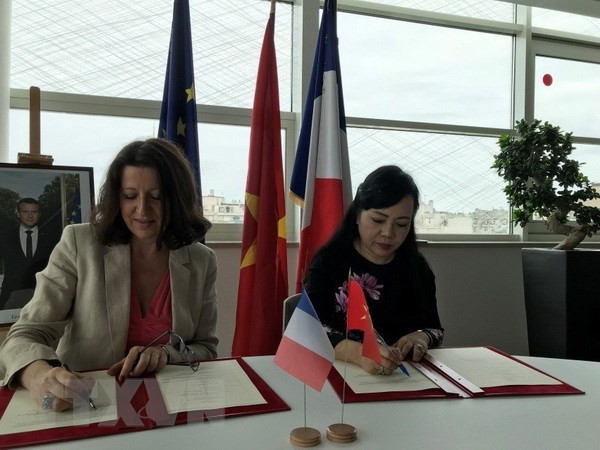 Vietnam y Francia fomentan vínculos en sector de salud ảnh 1