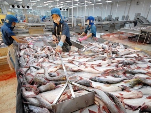 Piel de pescado, producto prometedor para exportación en Vietnam ảnh 1
