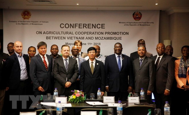 Mozambique resalta cooperación agrícola con Vietnam ảnh 1