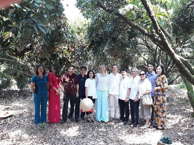 Embajador suizo aprecia calidad de lichi vietnamita Thanh Ha ảnh 1 Embajador suizo aprecia calidad de lichi vietnamita Thanh Ha ảnh 1