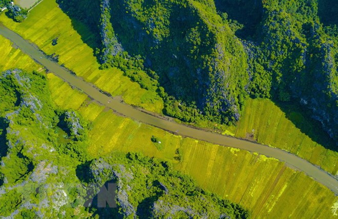 Provincia norvietnamita de Ninh Binh busca promover turismo local ảnh 1 Provincia norvietnamita de Ninh Binh busca promover turismo local ảnh 1