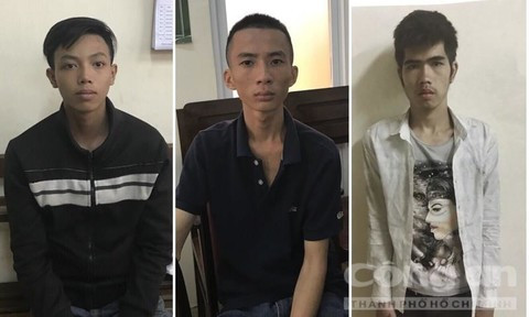 Ciudad Ho Chi Minh inicia procedimiento legal contra 4 individuos por destrucción intencional de bienes ảnh 1