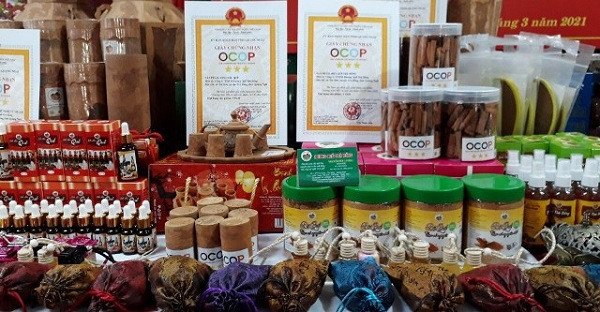 Phu Yen desarrolla productos OCOP asociados con pueblos artesanales ảnh 2 Phu Yen desarrolla productos OCOP asociados con pueblos artesanales ảnh 2